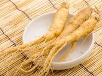 korean panax